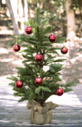 weihnachtsbaum 14 liste